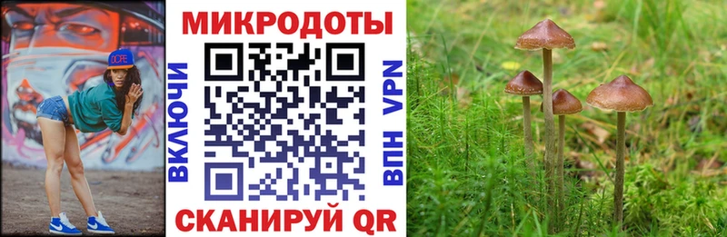 Галлюциногенные грибы прущие грибы  Ковдор 